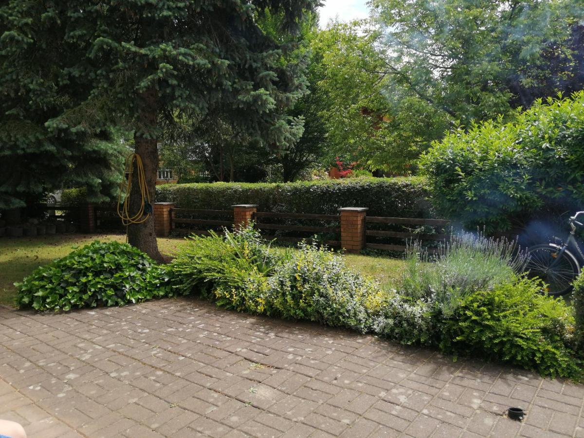 Ferienhaus Pauline Am See Müllrose Kültér fotó